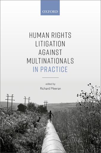 Human Rights Litigation against Multinationals in Practice book cover