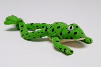 Read Write Inc Fred the Frog Toy book cover
