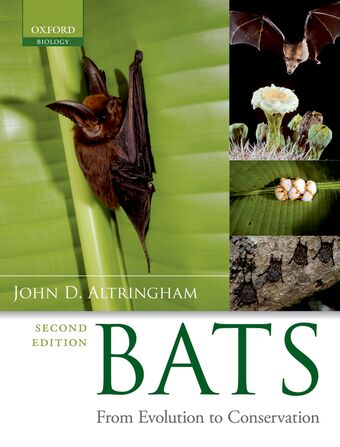 Bats book cover