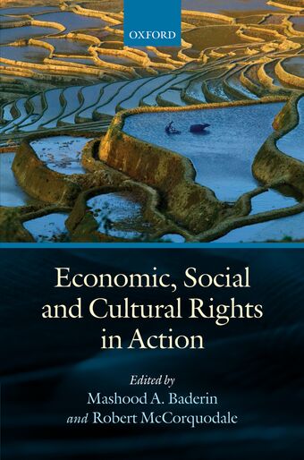 Economic, Social, and Cultural Rights in Action book cover