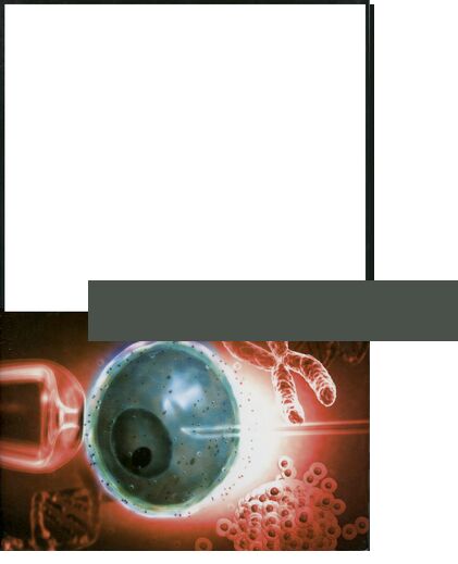 From IVF to Immortality book cover
