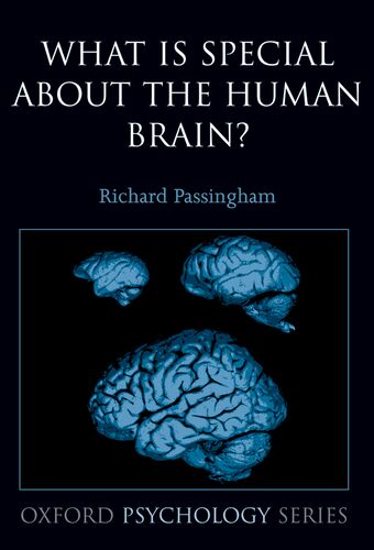 What is Special About the Human Brain? book cover