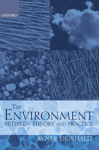 The Environment Between Theory and Practice book cover