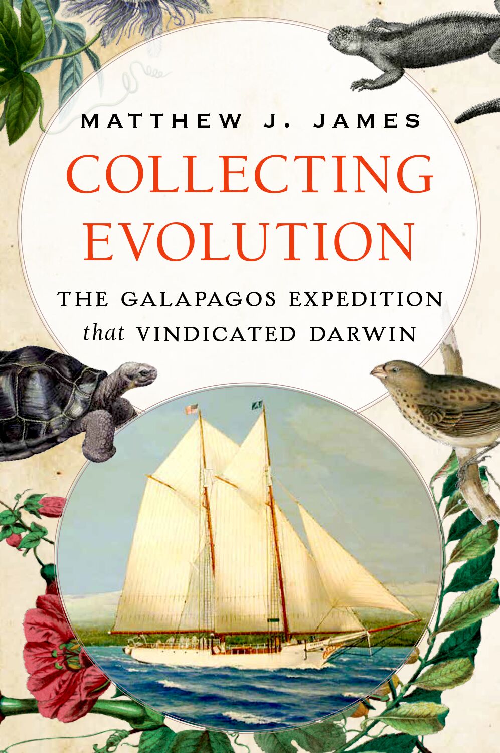 Collecting Evolution book cover