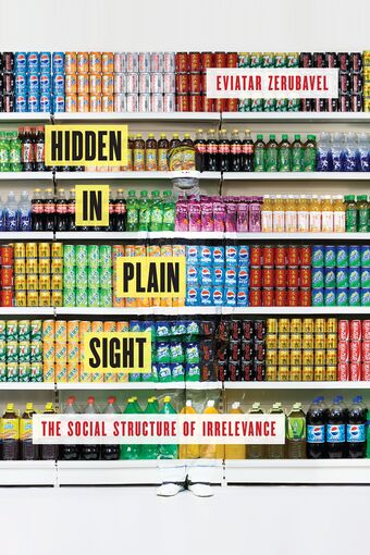 Hidden in Plain Sight book cover