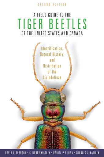 A Field Guide to the Tiger Beetles of the United States and Canada book cover