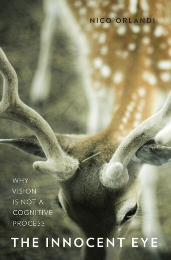 The Innocent Eye book cover