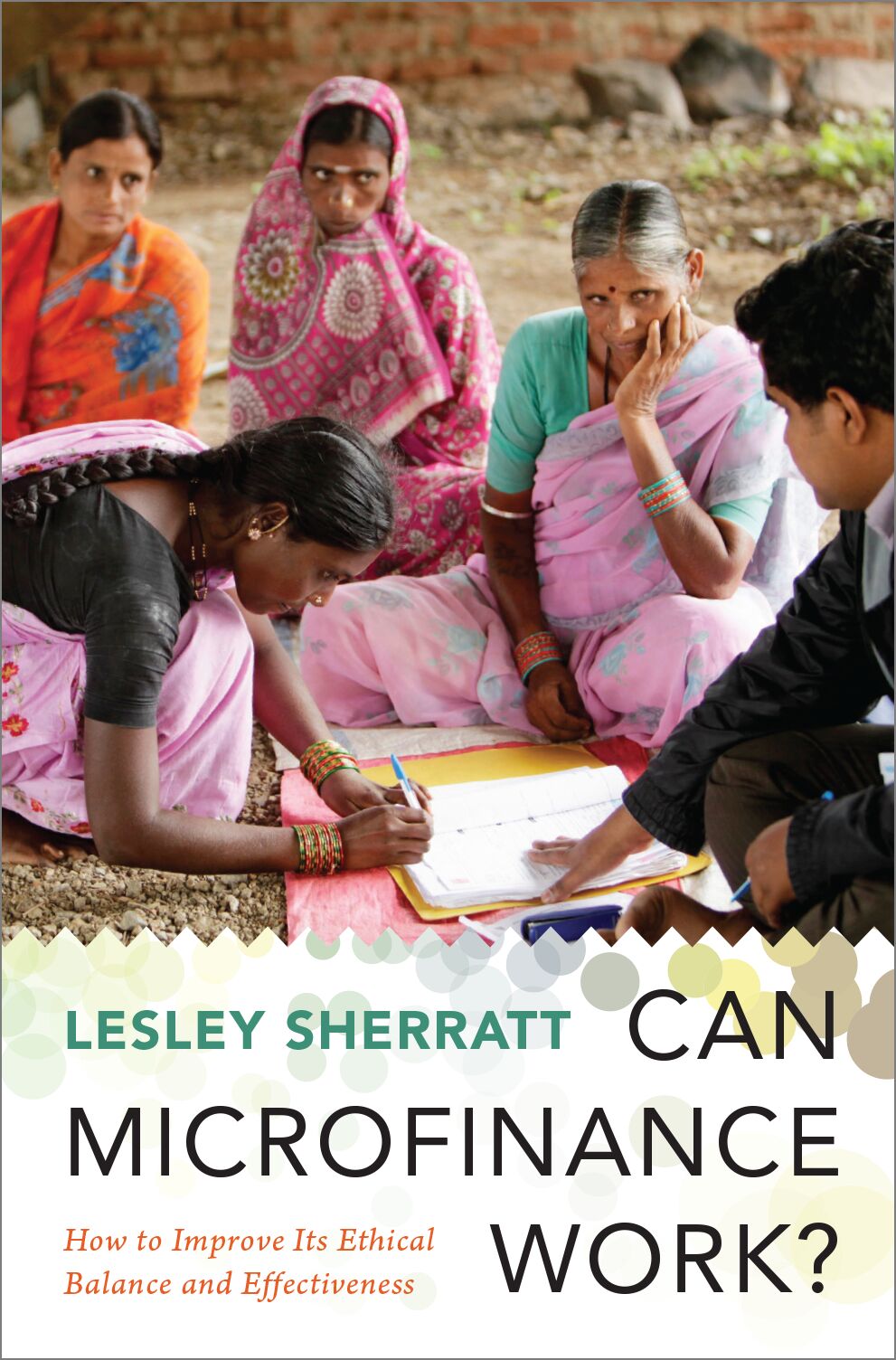 Can Microfinance Work? book cover