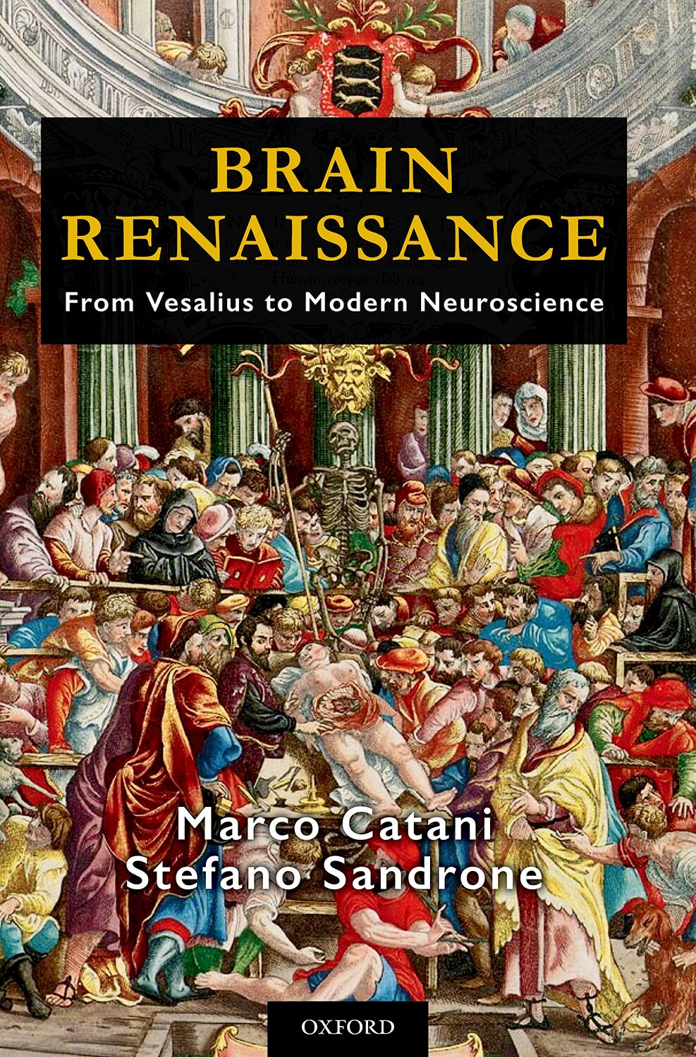 Brain Renaissance book cover