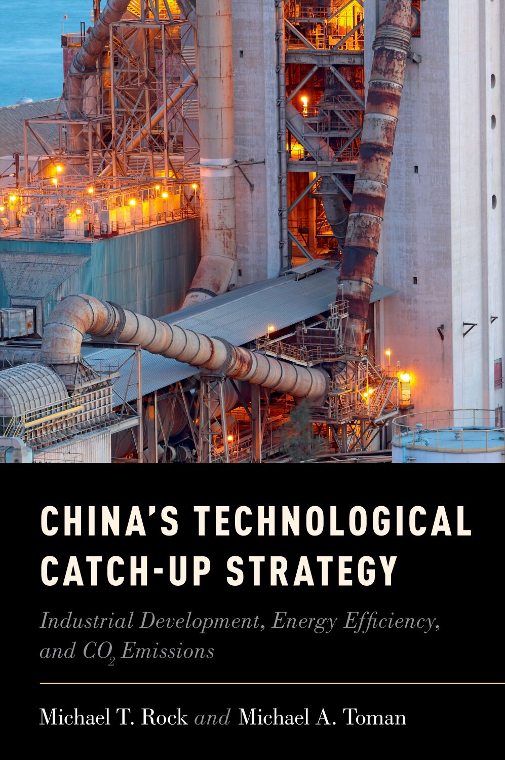 China's Technological Catch-Up Strategy book cover