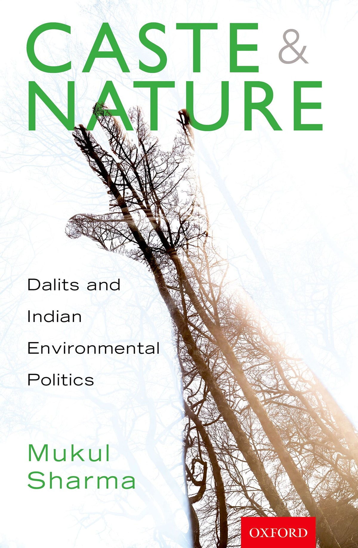 Caste and Nature book cover