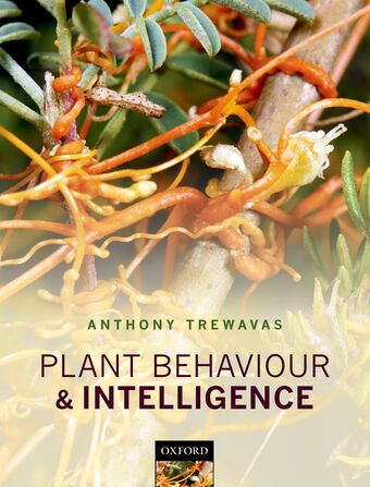 Plant Behaviour and Intelligence book cover