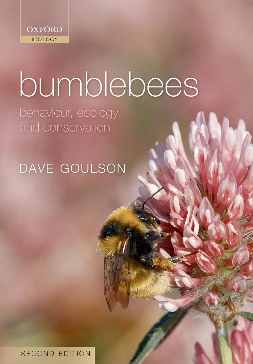 Bumblebees book cover