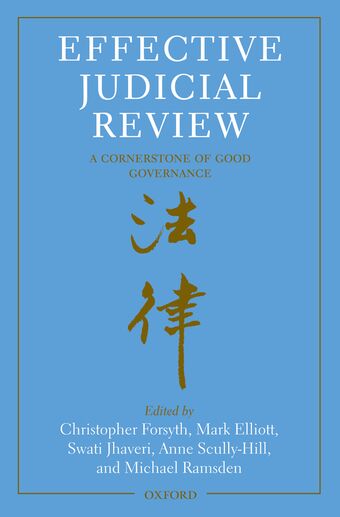 Effective Judicial Review book cover