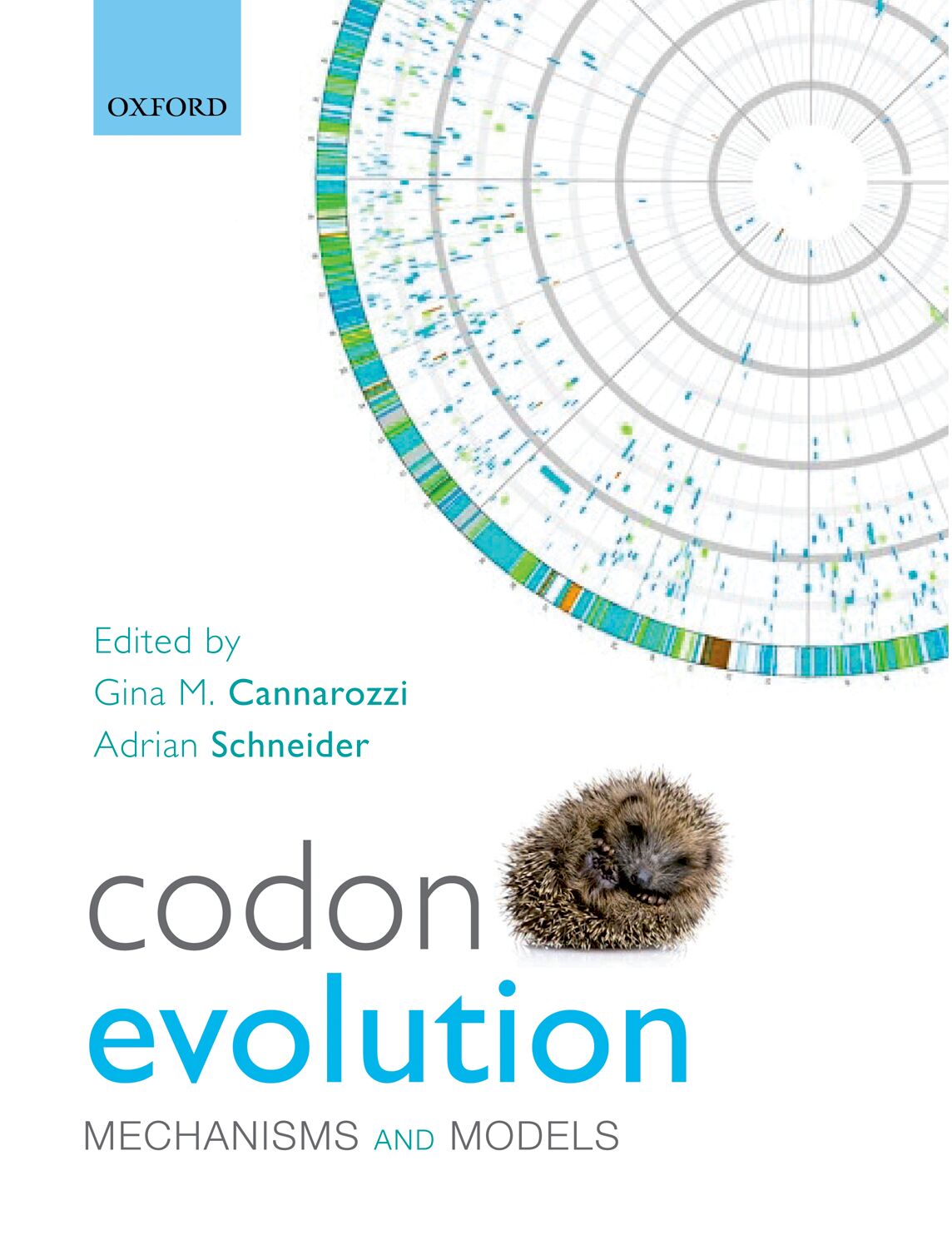 Codon Evolution book cover