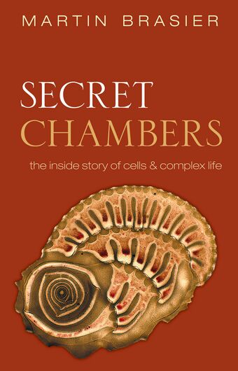 Secret Chambers book cover
