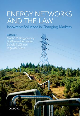 Energy Networks and the Law book cover