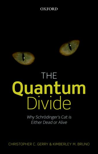 The Quantum Divide book cover
