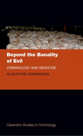 Beyond the Banality of Evil book cover