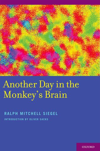 Another Day in the Monkey's Brain book cover