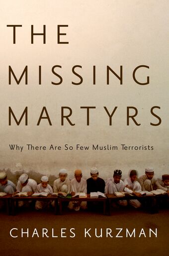 The Missing Martyrs book cover