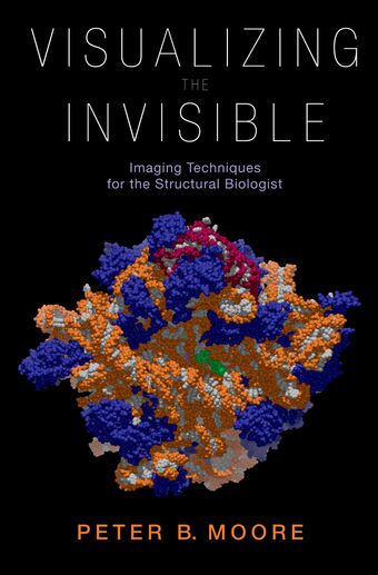 Visualizing the Invisible book cover