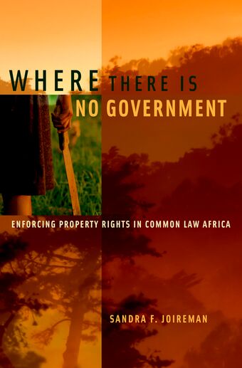 Where There is No Government book cover