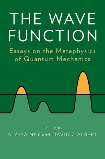 The Wave Function book cover