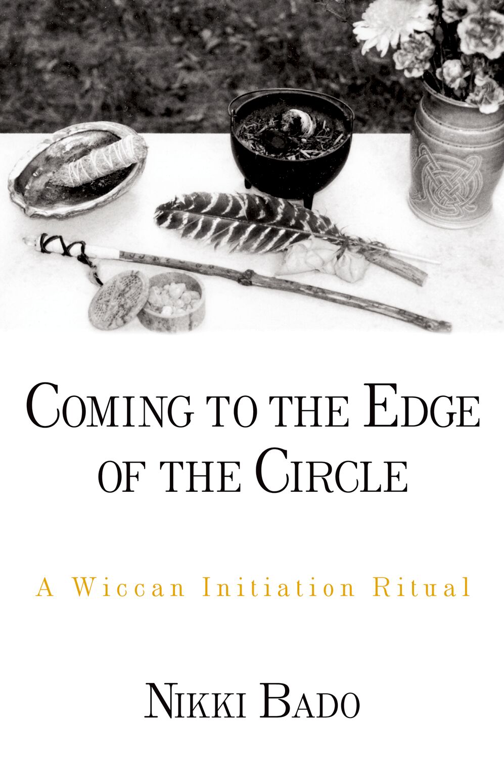 Coming to the Edge of the Circle book cover