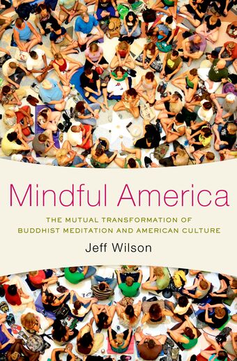 Mindful America book cover