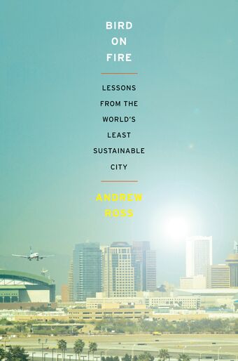Bird on Fire book cover