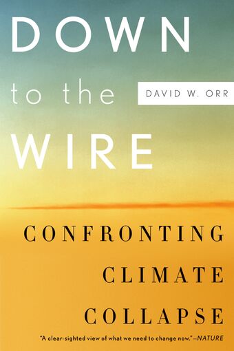 Down to the Wire book cover