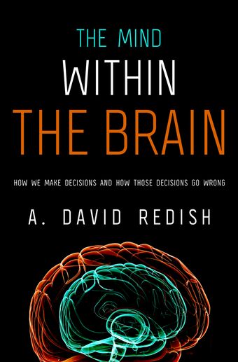 The Mind Within the Brain book cover