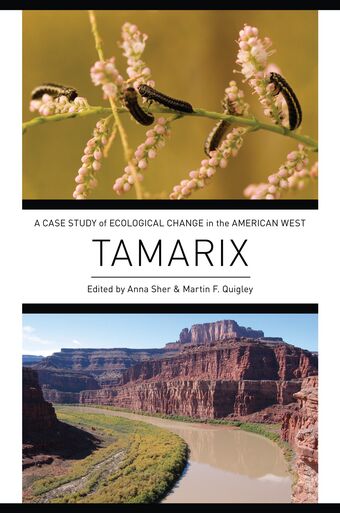 Tamarix book cover
