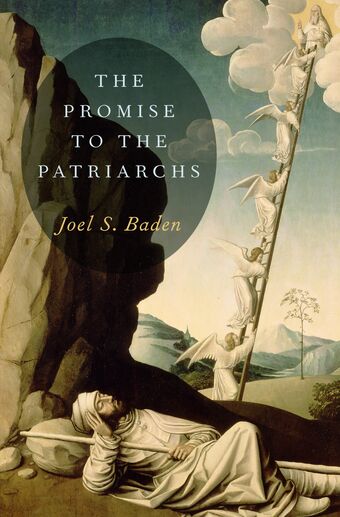 The Promise to the Patriarchs book cover
