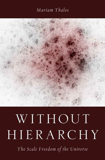 Without Hierarchies book cover