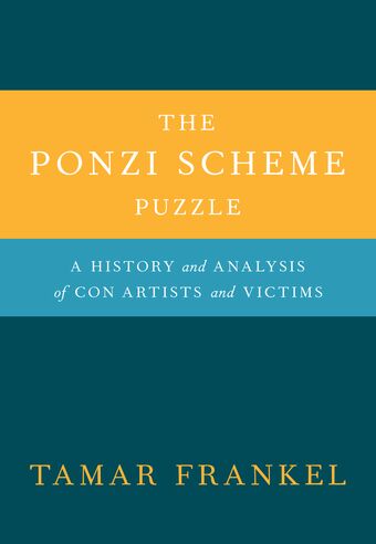 The Ponzi Scheme Puzzle book cover