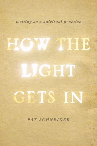 How the Light Gets In book cover