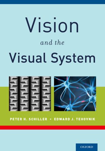 Vision and the Visual System book cover