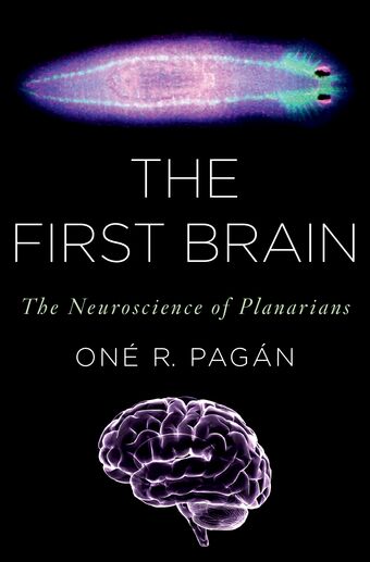 The First Brain book cover