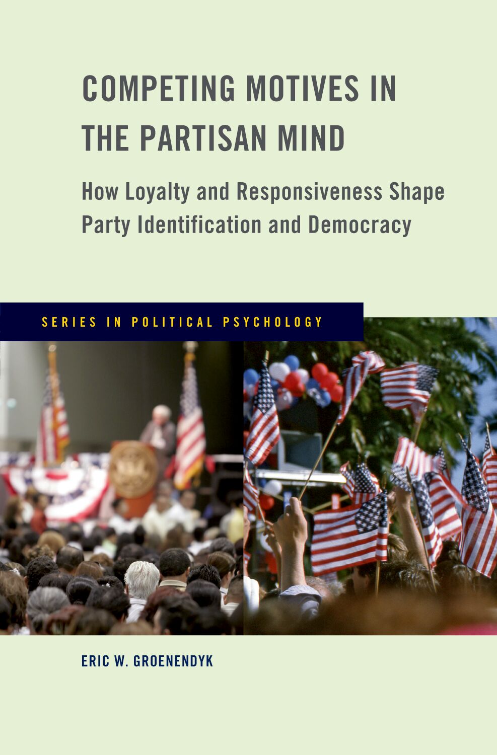 Competing Motives in the Partisan Mind book cover