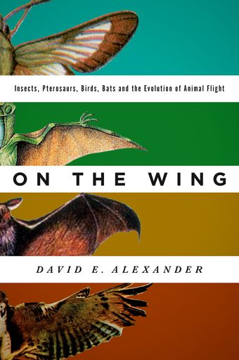 On the Wing book cover