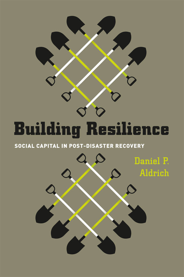 Building Resilience: Social Capital in Post-Disaster Recovery cover