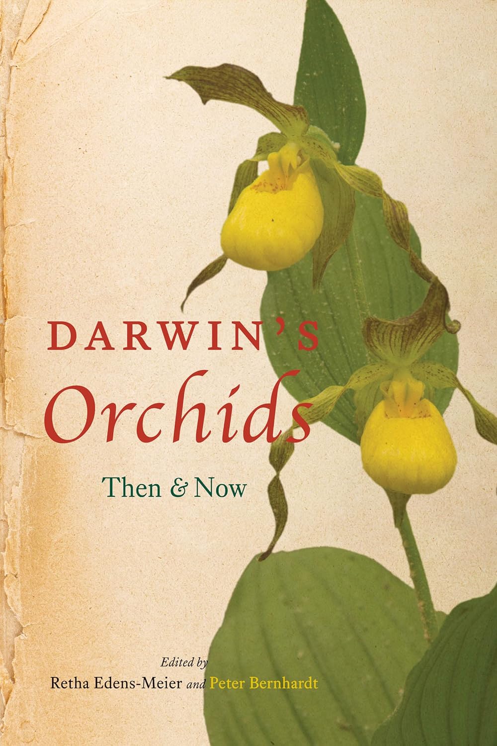 Darwin's Orchids: Then and Now cover