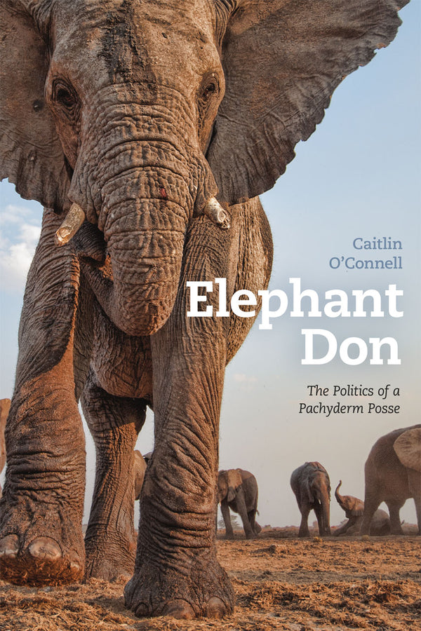 Elephant Don: The Politics of a Pachyderm Posse cover