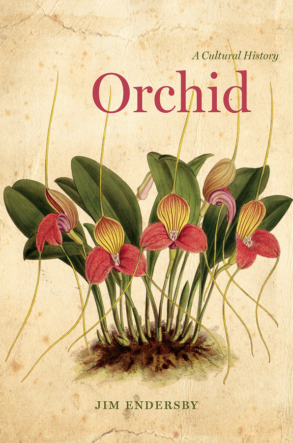 Orchid: A Cultural History cover