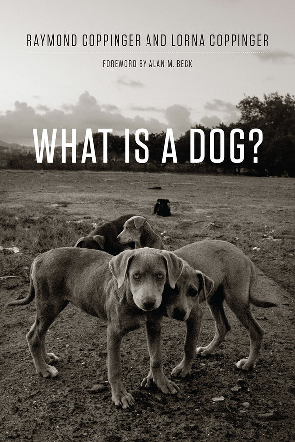 What Is a Dog? cover