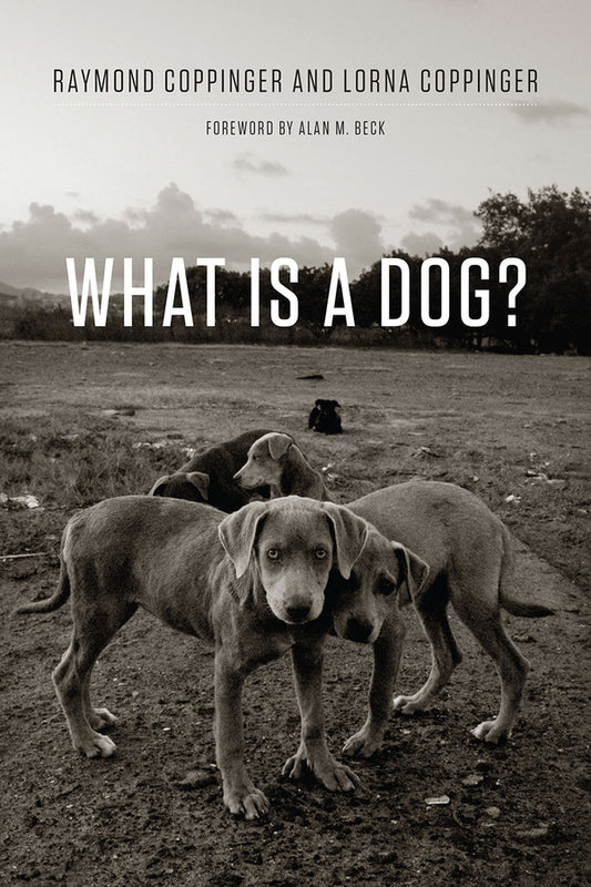 What Is a Dog? cover