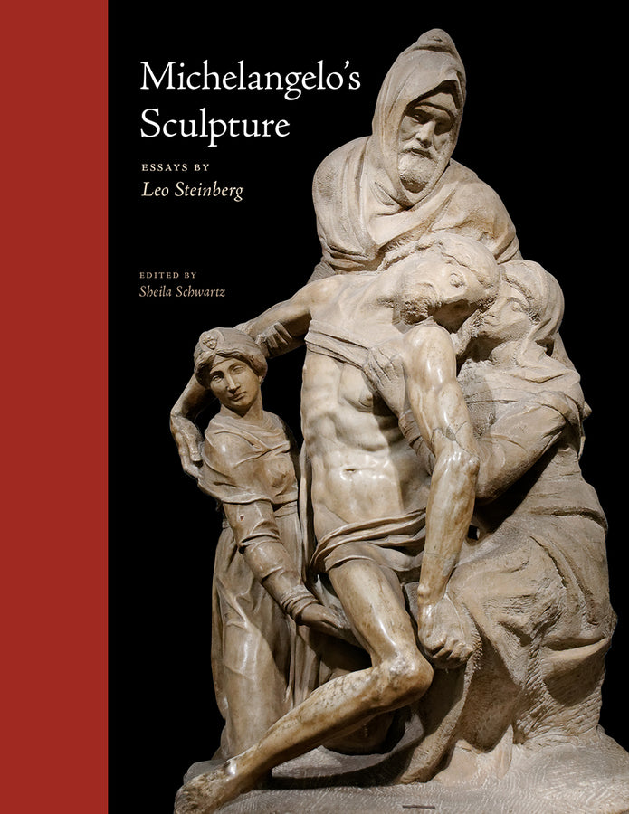 Essays by Leo Steinberg cover