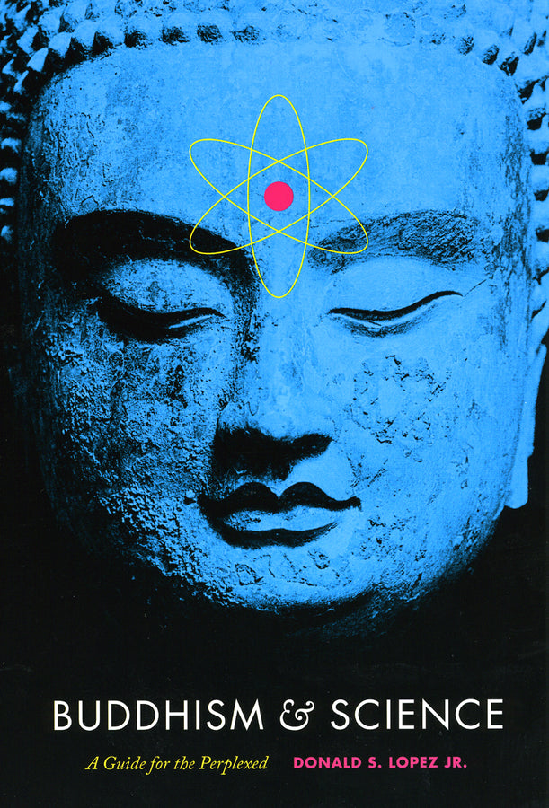 Buddhism and Modernity cover